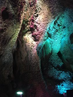 IMG_3851