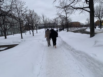 IMG_4320