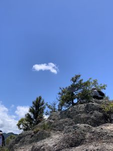 IMG_8954