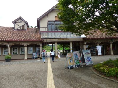 イングランドの丘