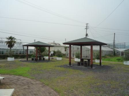 憩いの場