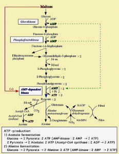 �N���b�N����Ɗg��