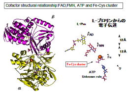 �N���b�N����Ɗg��