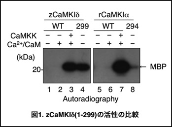 Fig. 1.jpg