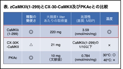 Table.jpg