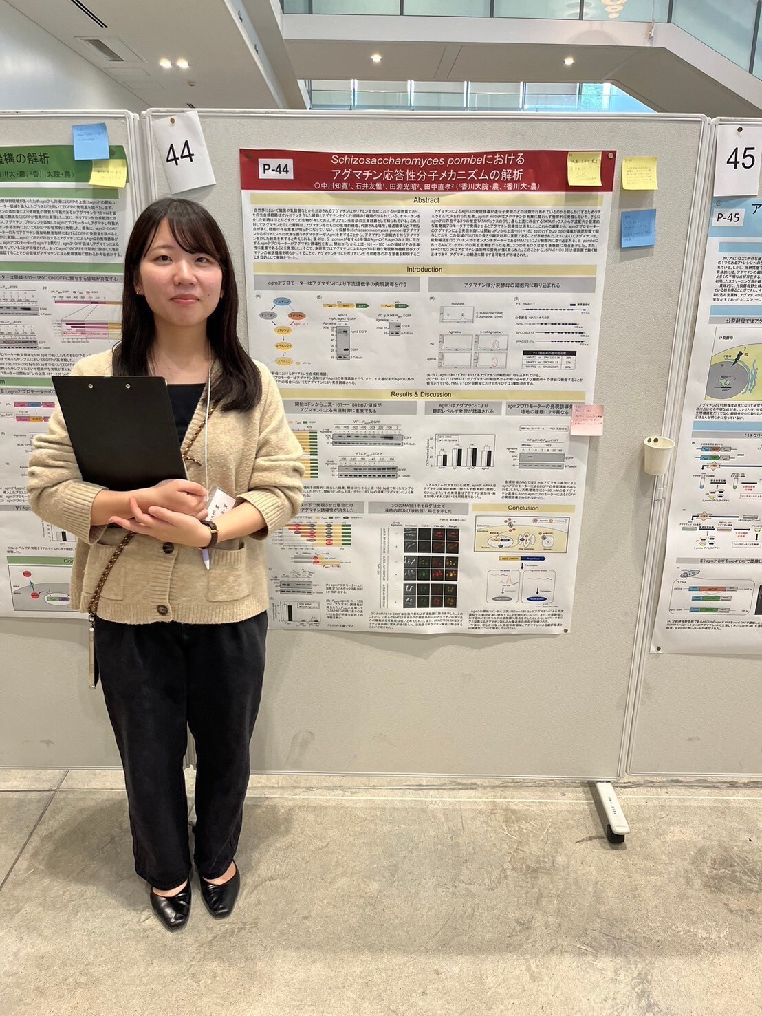 c76ee966-c197-464a-ab33-3590000415bb.jpg
