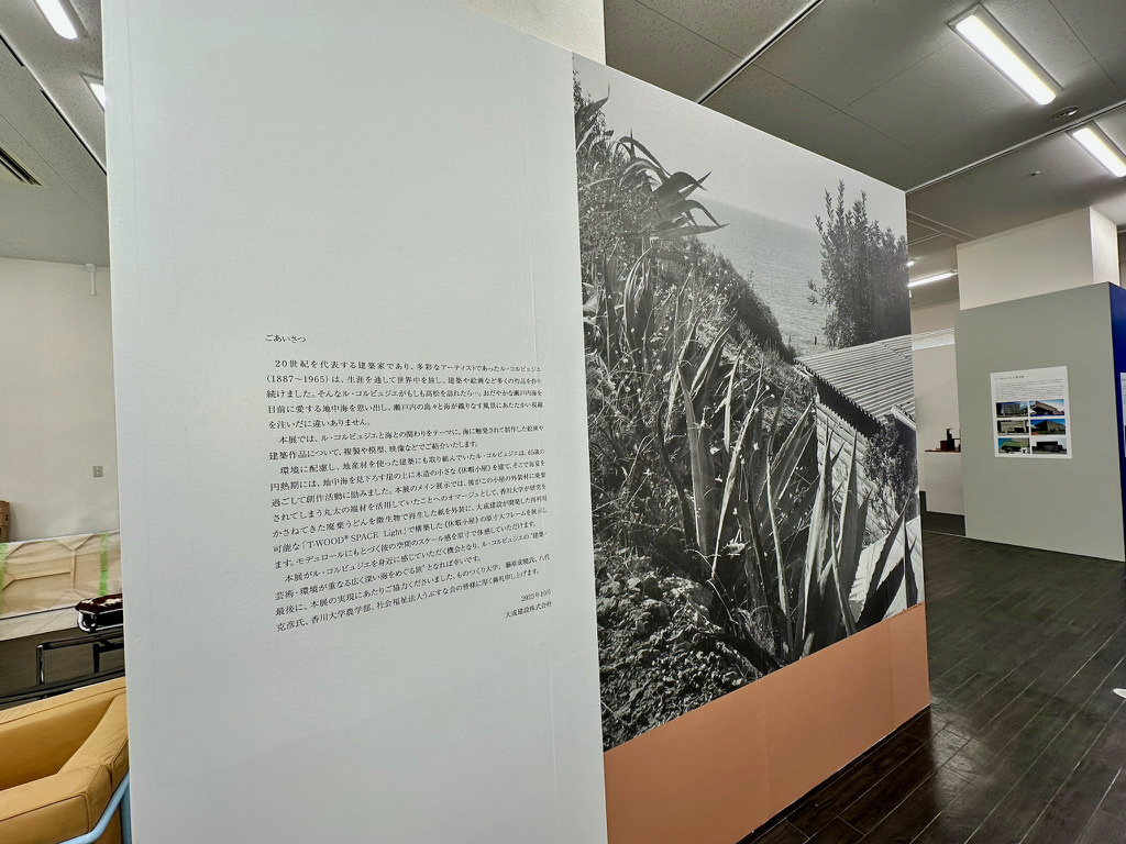 fdd32e4e-6ab3-4d52-b822-16b74d4d86f0_1_105_c.jpg