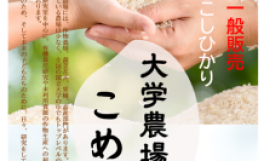 農学部附属農場産米「大学農場のこめ」(数量限定・精米2kg/袋)の販売について