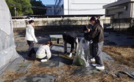 令和7年度第2回農学部クリーンキャンパスを実施