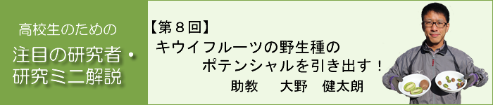 キウイフルーツの野生種のポテンシャルを引き出す！