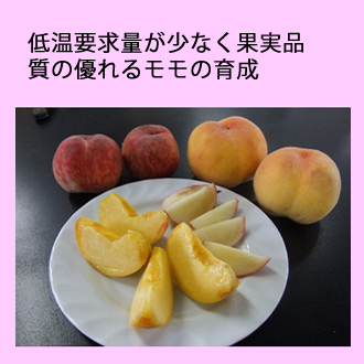 研究成果の実用化 6