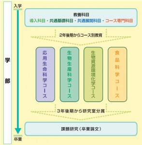 コース概念図