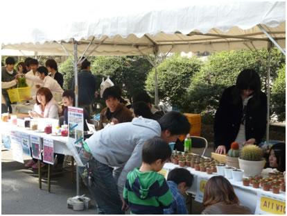 手作りポット苗の販売