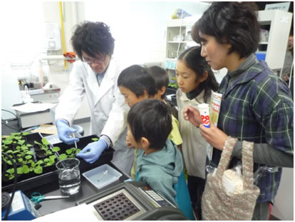 体験実習「ノーベル賞のGFPで葉っぱを光らせよう！」