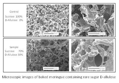 Microscopic images of 