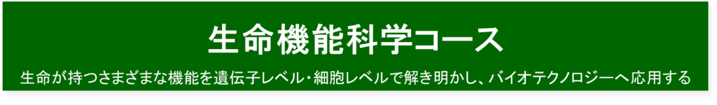 生命機能科学コース
生命が持つさまざまな機能を遺伝子レベル・細胞レベルで解き明かし、バイオテクノロジーへ応用する
