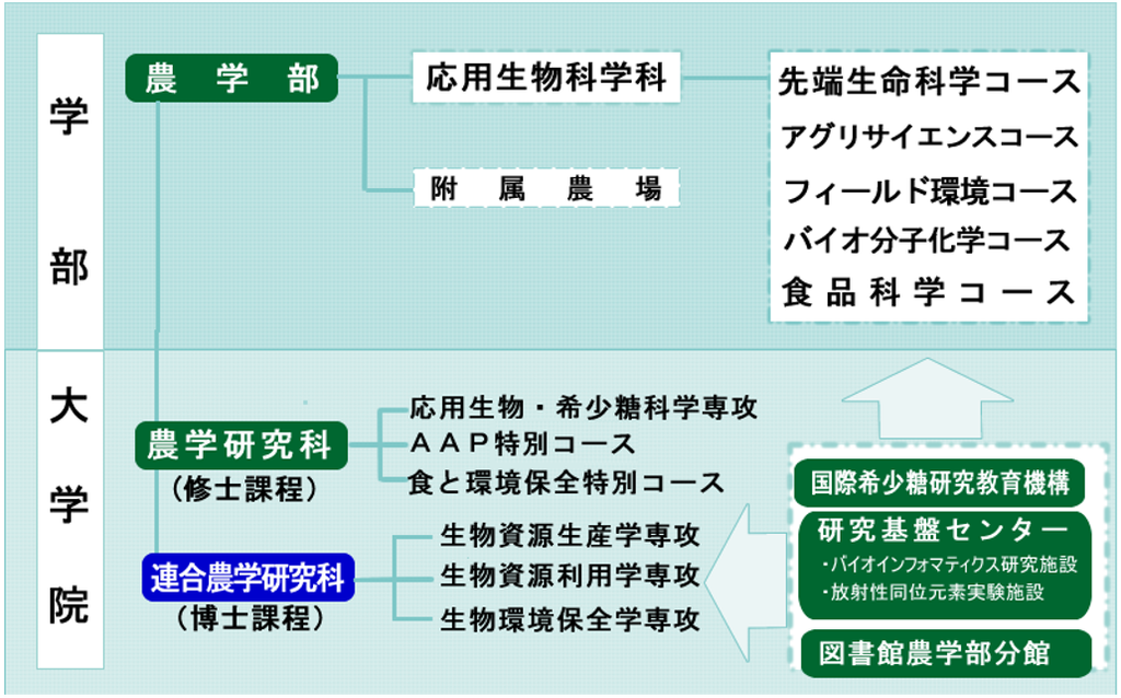 学部・大学院の組織図